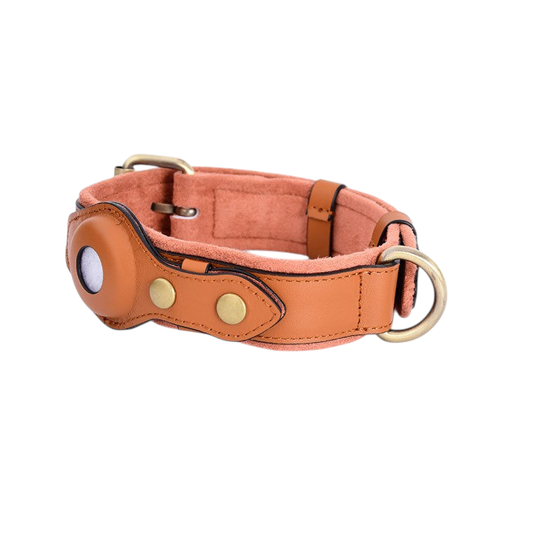 Collier en cuir porte-AirTag pour chien – FURRLY – photo 5