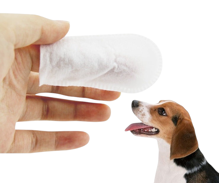 Kit lingettes doigtier pour chien – FURRLY – photo 3