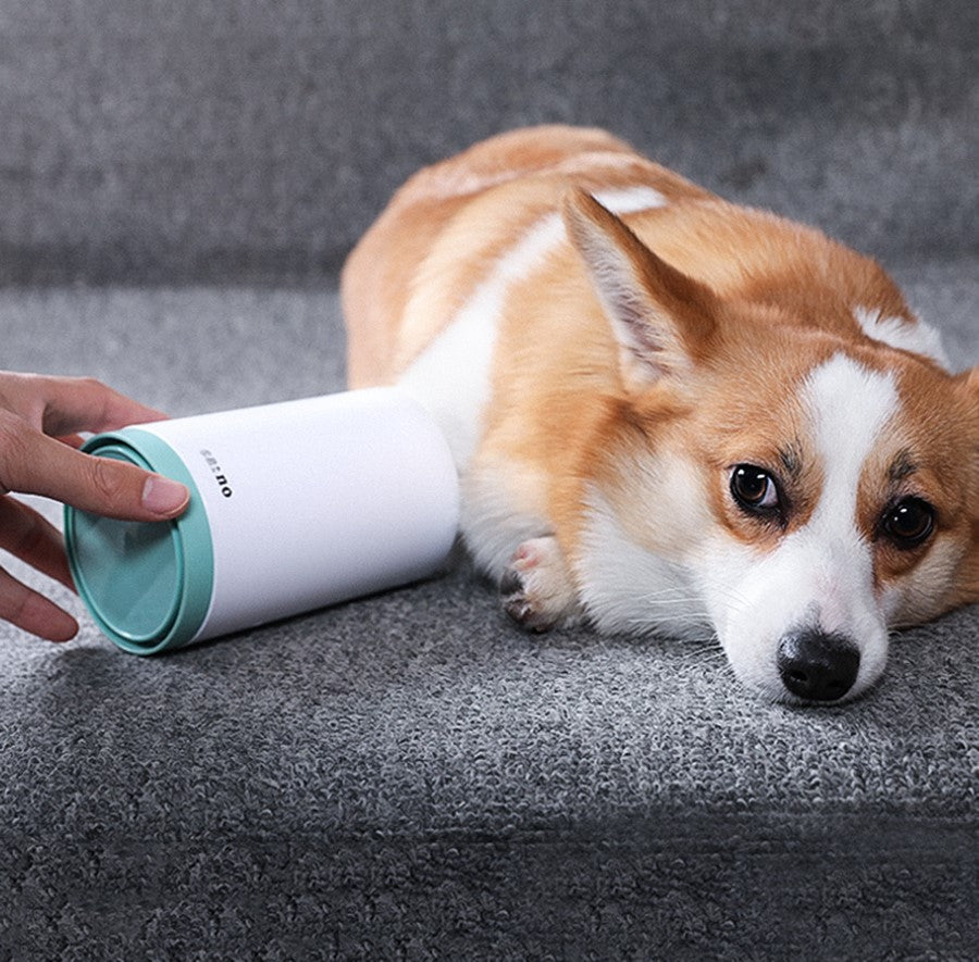 Nettoie-pattes en silicone pour chien – FURRLY – photo 3