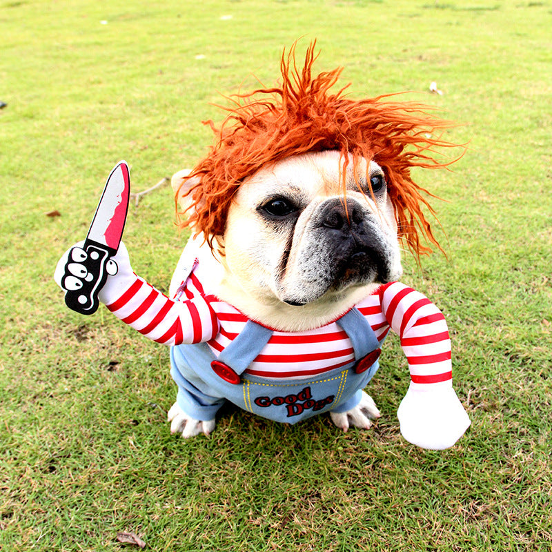 Déguisement Halloween pour chien – FURRLY – photo 8