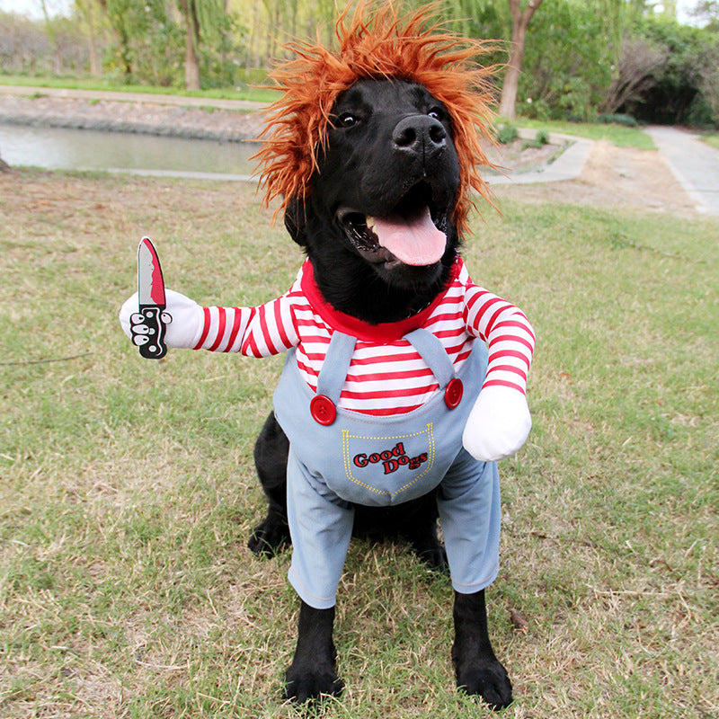 Déguisement Halloween pour chien – FURRLY – photo 7