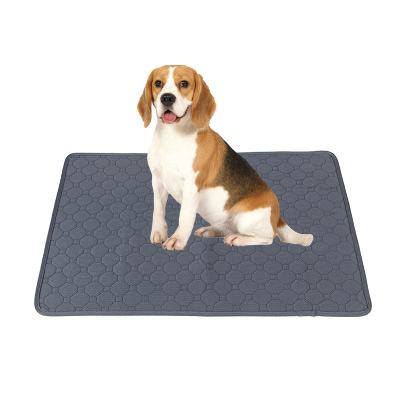 Tapis d'éducation lavable pour chien – FURRLY – photo 1