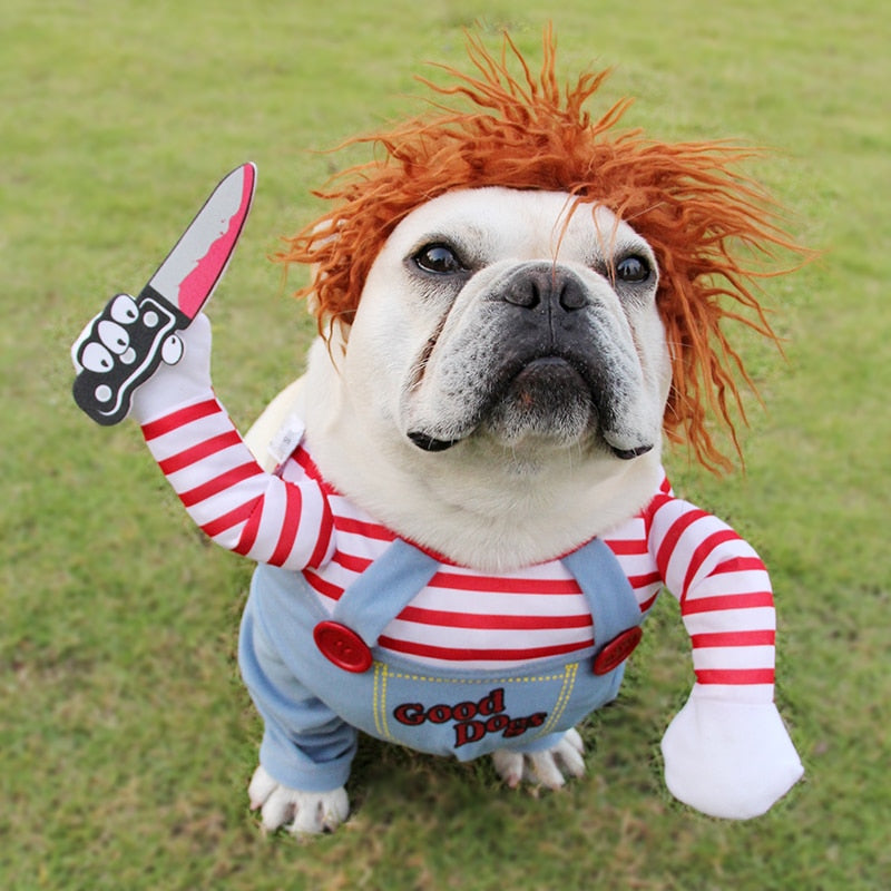 Déguisement Halloween pour chien – FURRLY – photo 2
