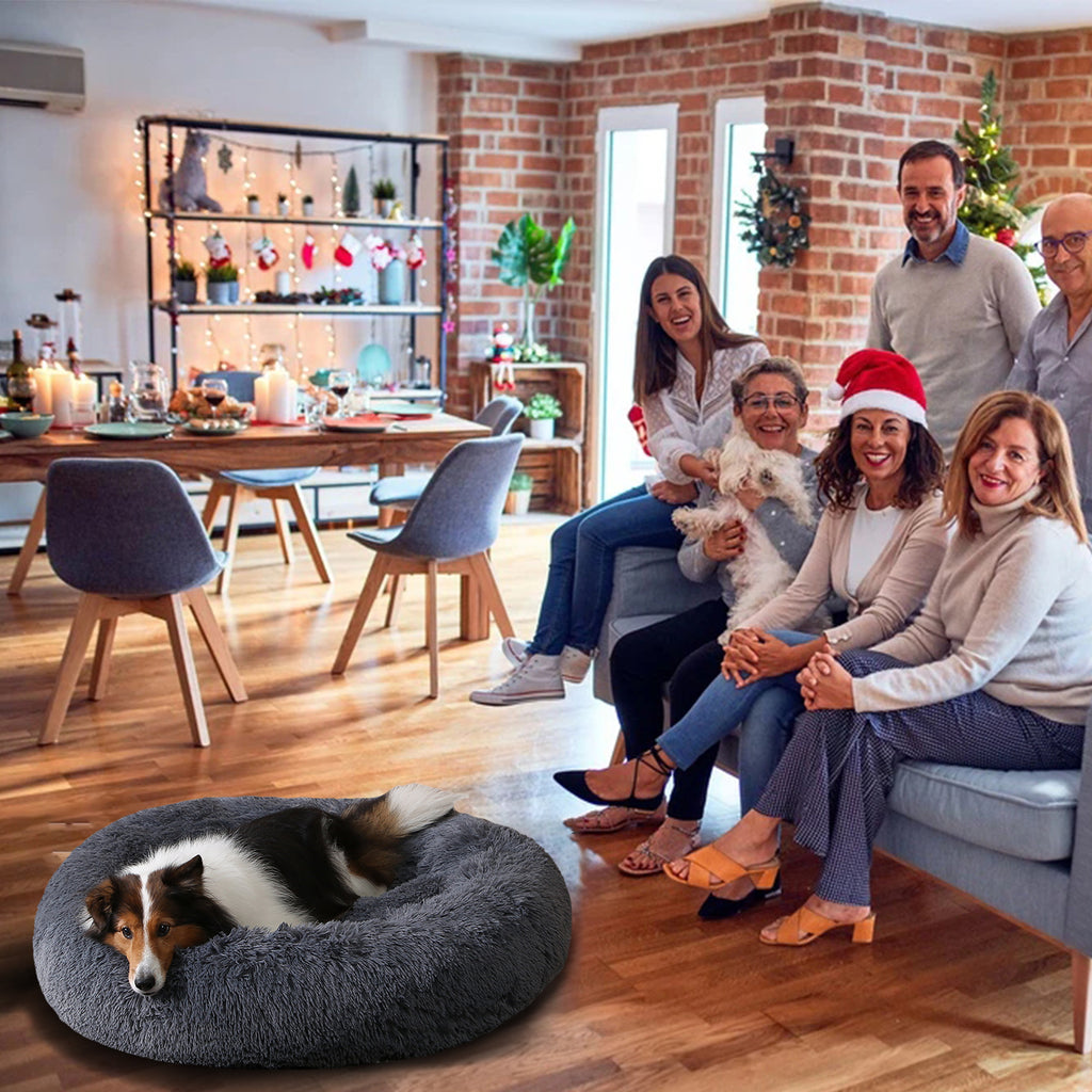 Panier donut pour chien en famille dans le salon