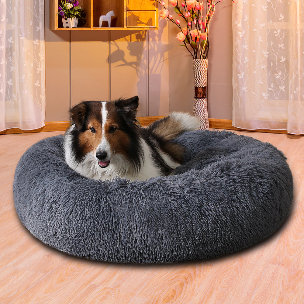 Chien endormi dans son panier apaisant donut gris dans le salon