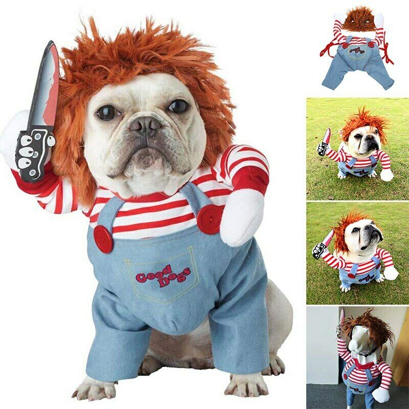 Déguisement Halloween pour chien – FURRLY – photo 1
