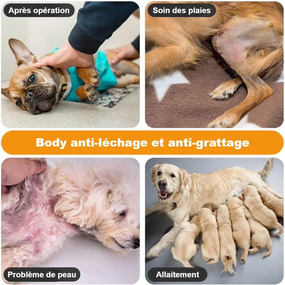 Body anti-léchage et anti-grattage : après opération, plaies, peau
