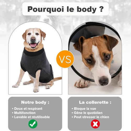 Body post-opératoire contre collerette