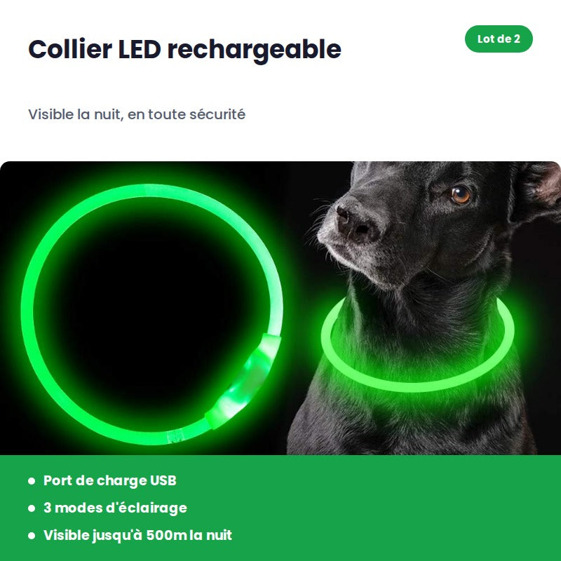 Lot de 2 colliers LED rechargeables pour chien – FURRLY – photo 1