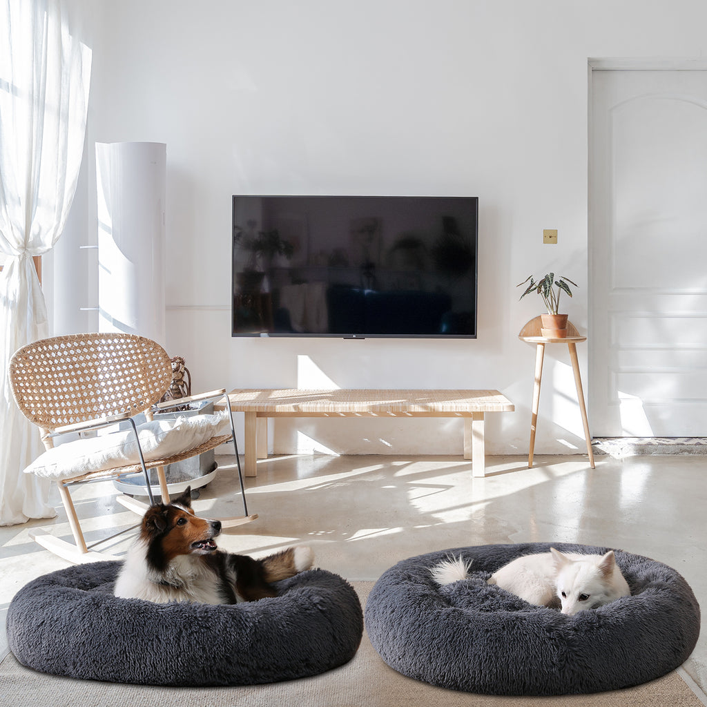 Deux chiens dans leurs paniers donut dans un salon lumineux