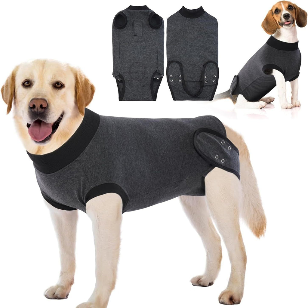 Body post-opératoire pour chien gris