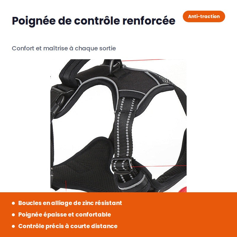 Harnais Anti-Traction Réfléchissant pour Chien — Confort & Sécurité