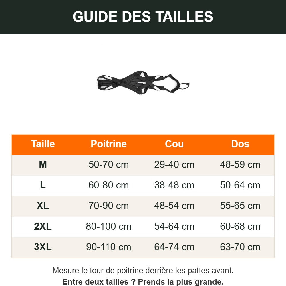 Guide des tailles du harnais (en cm)