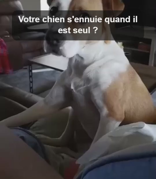 Vidéo balle distributrice de friandises