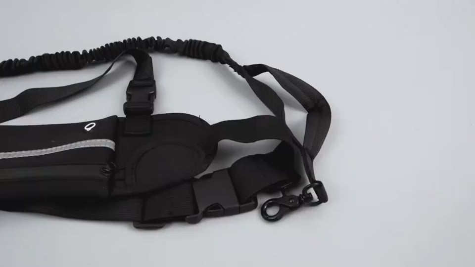 Vidéo ceinture canicross