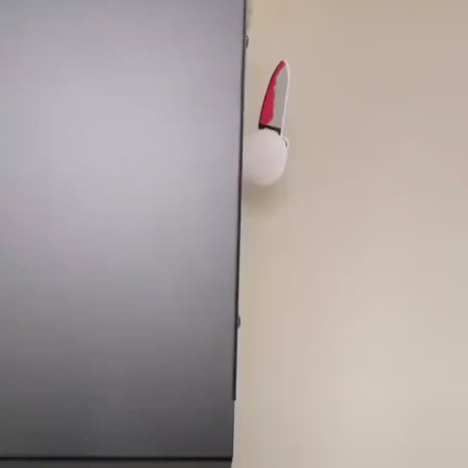 Vidéo déguisement pour chien