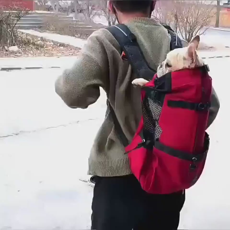 Vidéo sac à dos de transport pour chien
