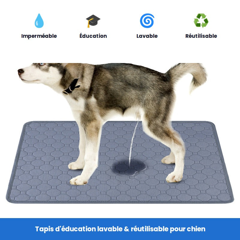 Tapis d'éducation lavable pour chien – FURRLY – photo 8