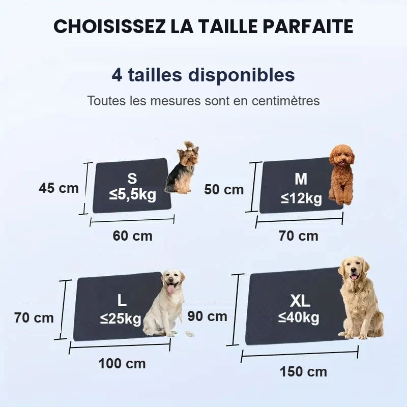 Guide des tailles du tapis (en cm)